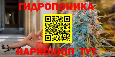 прущие крисы Ипатово