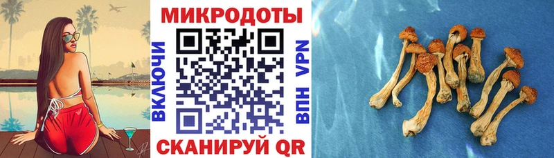 Галлюциногенные грибы мицелий  ссылка на мегу ONION  Пятигорск 