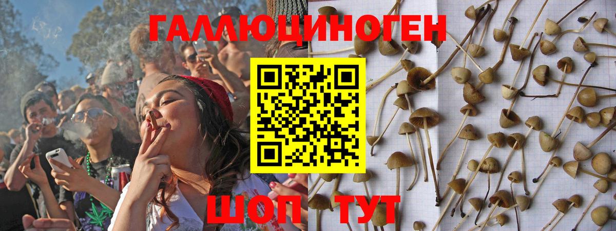 Галлюциногенные грибы мицелий  Псилоцибиновые грибы мицелий  Пятигорск  Вход с VPN 